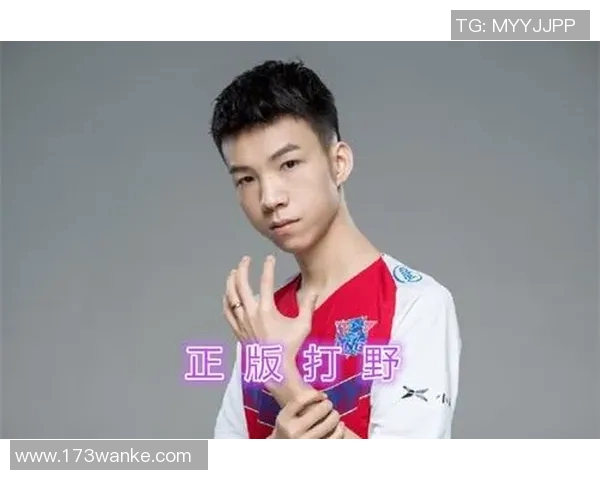 王者荣耀LNG战队意识分析与战术探讨的深度研究 王者荣耀LNG战队意识分析与战术探讨的深度研究